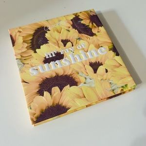 Colourpop eyeshadow palette- little ray of sunshine